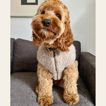 WEAR FIFI // Strikkeopskrift på Teddy Vest til hunde