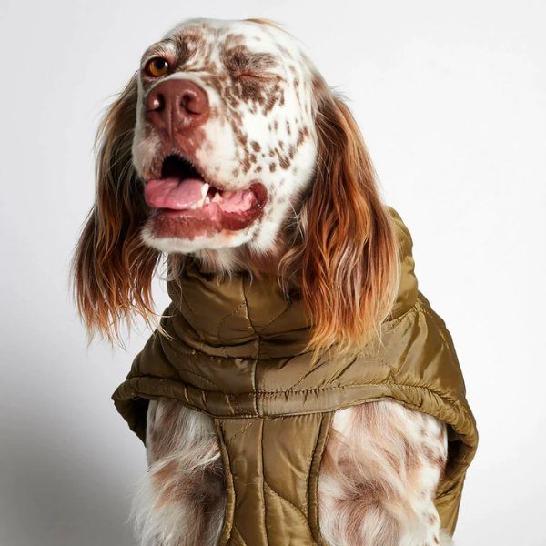 Al Puffer // Vandafvisende hundedækken (kakigrøn) str 27,5