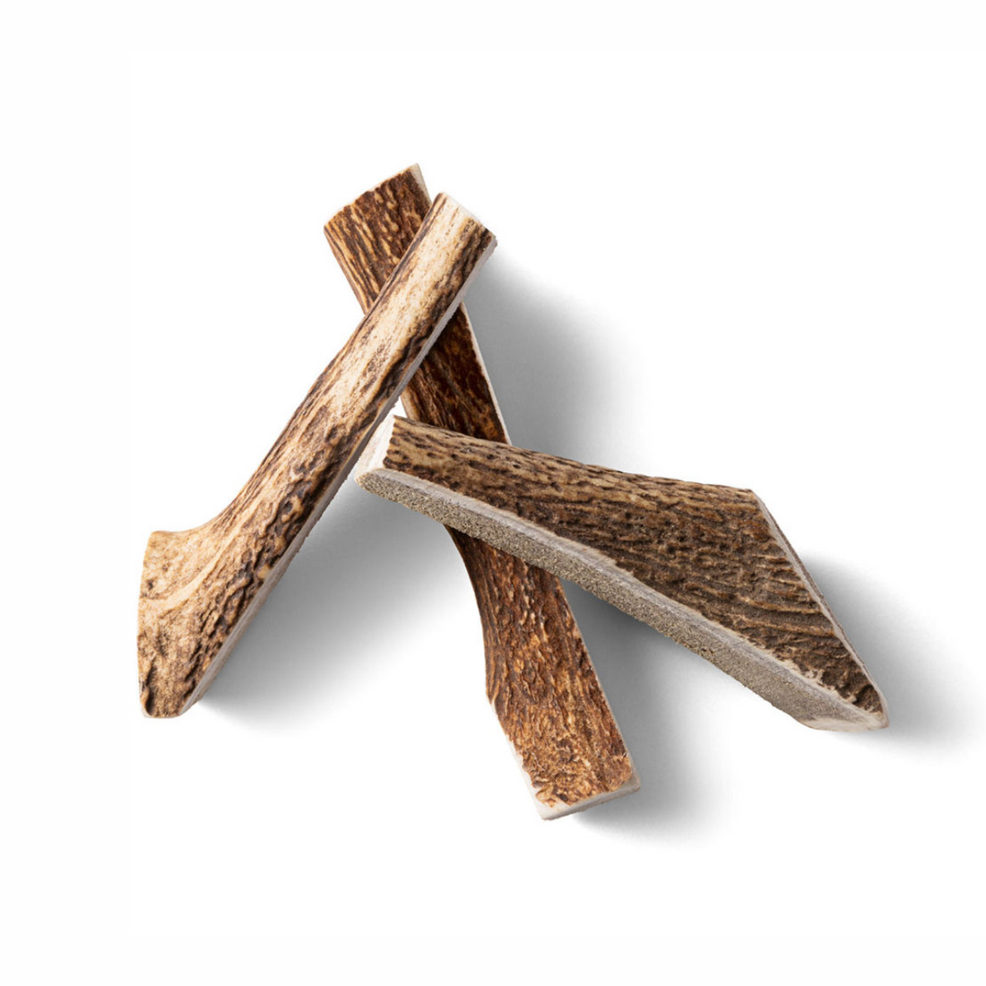 Rauh! Antler // Overskåret hjortegevir, perfekt til hvalpe