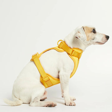 Rose W. Harness // Robust og justerbar hundesele (gul)