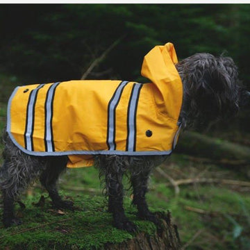 Sötnos Sunshine Raincoat // Regnjakke som ikke skal over hovedet