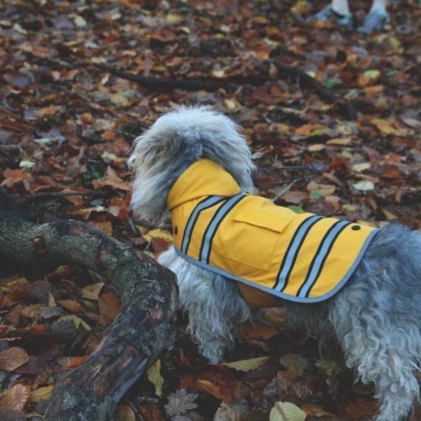 Sötnos Sunshine Raincoat // Regnjakke som ikke skal over hovedet XS