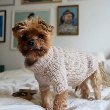 WEAR FIFI Strikkekit // Strik-selv Fluffy Hundesweater (almond)