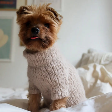 WEAR FIFI Strikkekit // Strik-selv Fluffy Hundesweater (beige)