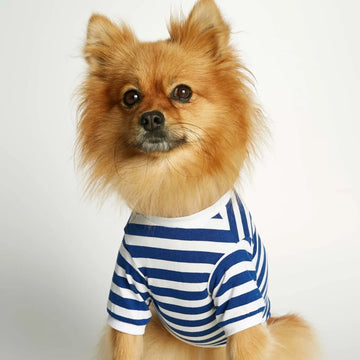 David T-shirt // Hundetrøje med ærmer i økologisk bomuld (blå)