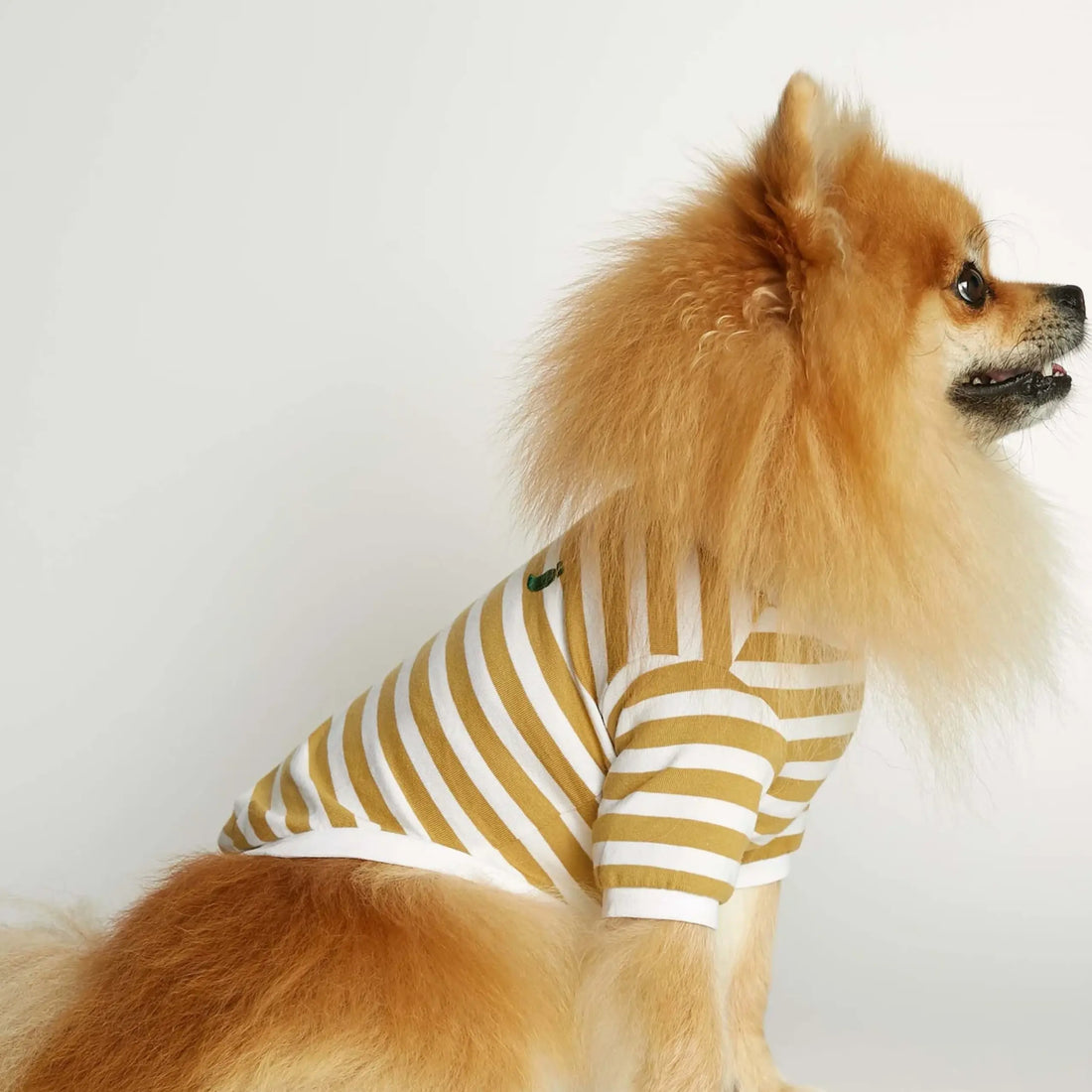 David T-shirt // Hundetrøje med ærmer i økologisk bomuld (dijon)