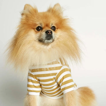 David T-shirt // Hundetrøje med ærmer i økologisk bomuld (dijon)