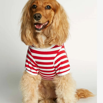 David T-shirt // Hundetrøje med ærmer i økologisk bomuld (rød)