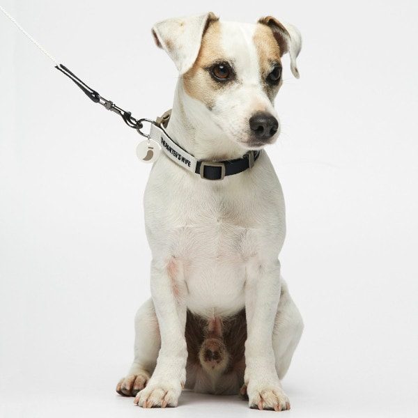 Sonia Navy // Klassisk line i vandafvisende nylon