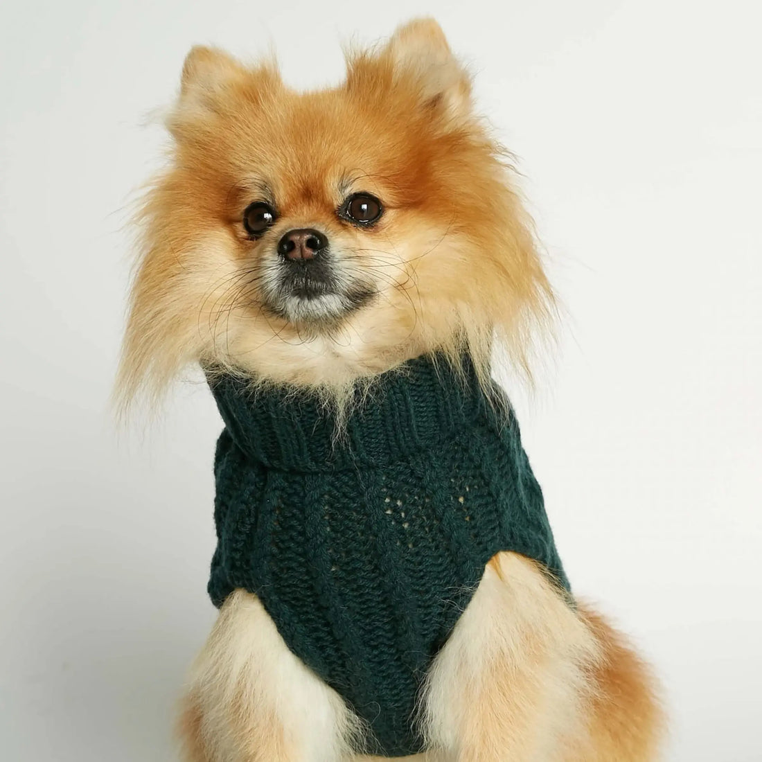 John B. Sweater // Hundesweater i merinould og cashmere (mørkegrøn) Large