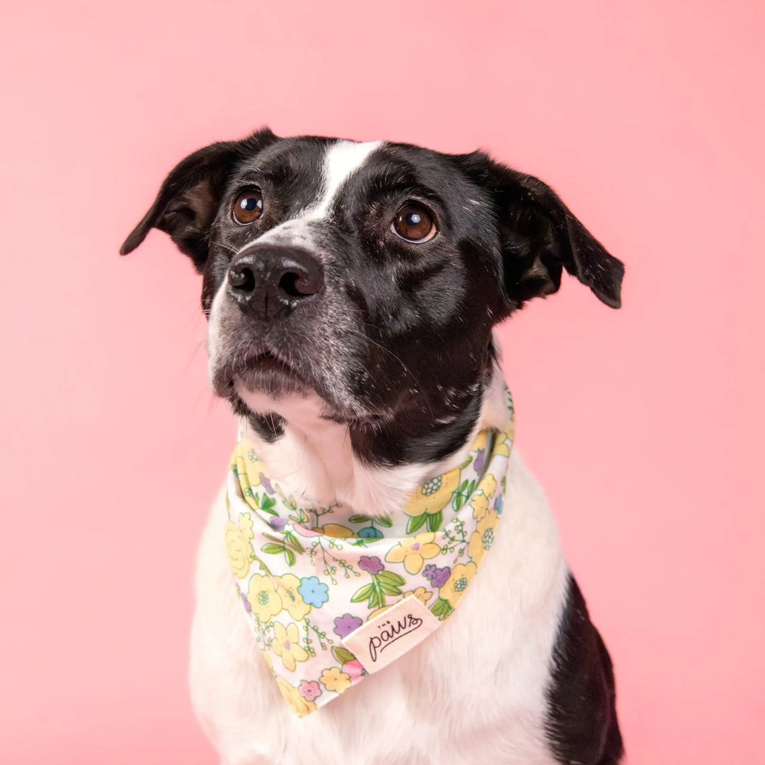 Petal // Hundebandana med blomster i pastelfarver