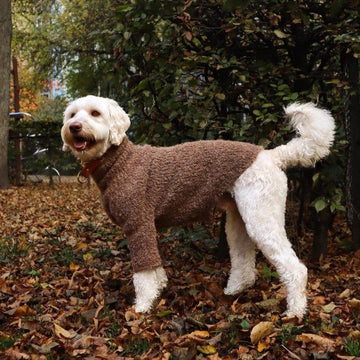 WEAR FIFI Teddy Sweater // Håndstrikket sweater i uld-bouclé (brun)