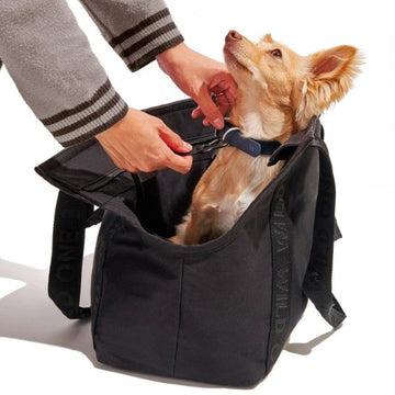 Wild One Everyday // Hundetaske til hunde op til 9 kg (sort)