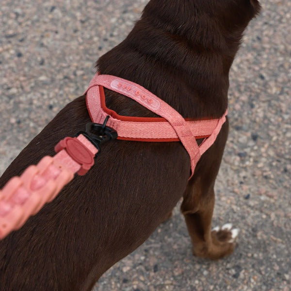 zee.dog ハーネス リード セット ピンク　XS canyon 小型犬 Zee.dog Canyon // No-pull dog harness (pink) Large – Hunni