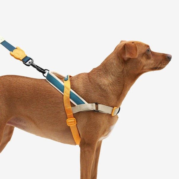 Zee.dog Voyage // Anti-træk sele til hunde (orange) Large