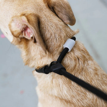 Zee.dog Slip Lead // Retrieverline med stop (sort)