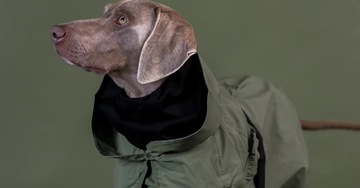 Størrelsesguide til Paikka regn- og vinterjakker