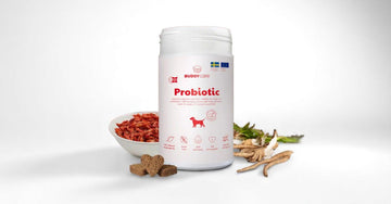 Kosttilskud til hunde