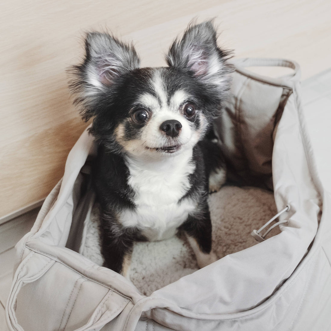 Lambwolf Olla // Bæresele til små hunde op til 5 kg. (Koala)