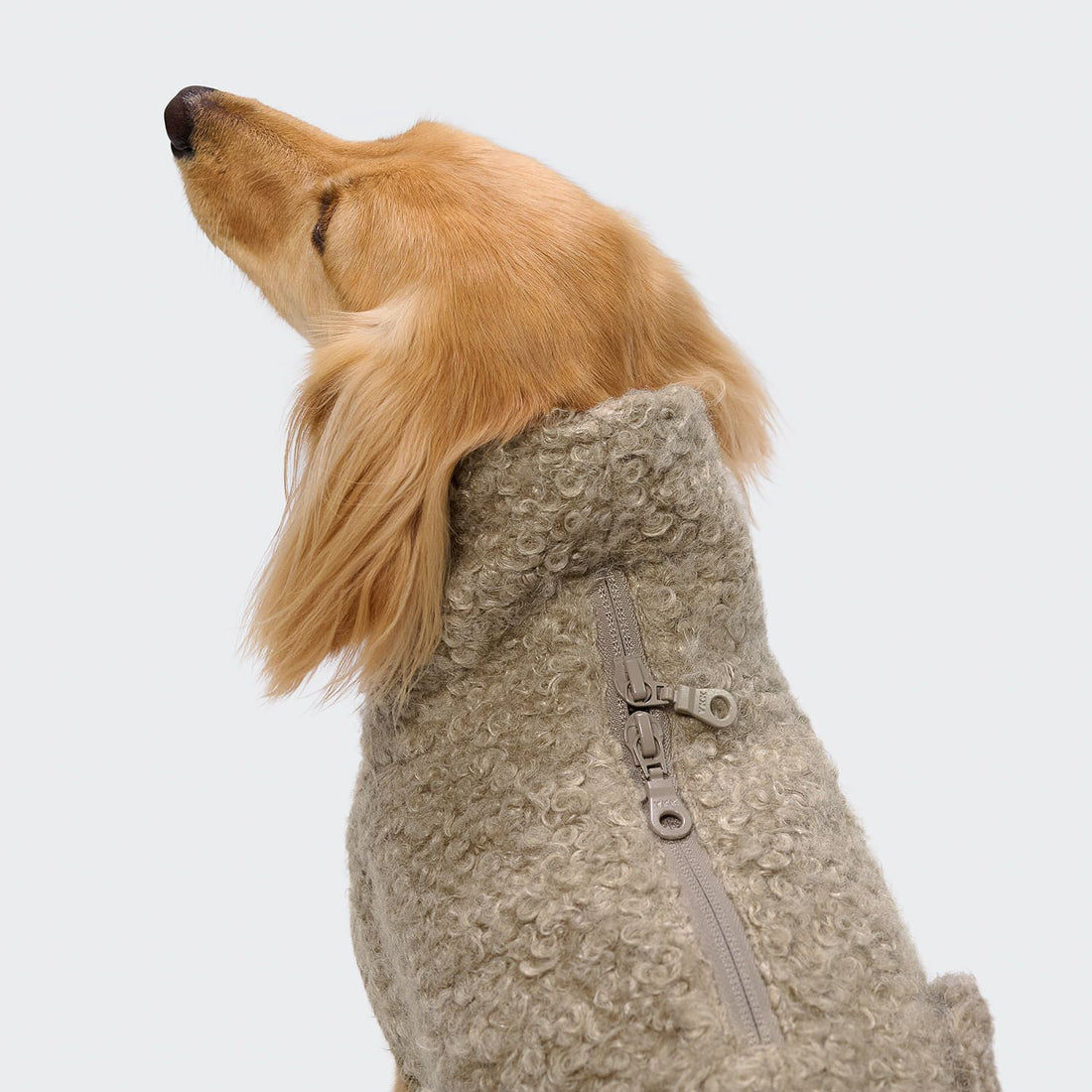 Cloud7 Gotland, Gravhund // Varm og blød hundesweater (sandy brown)