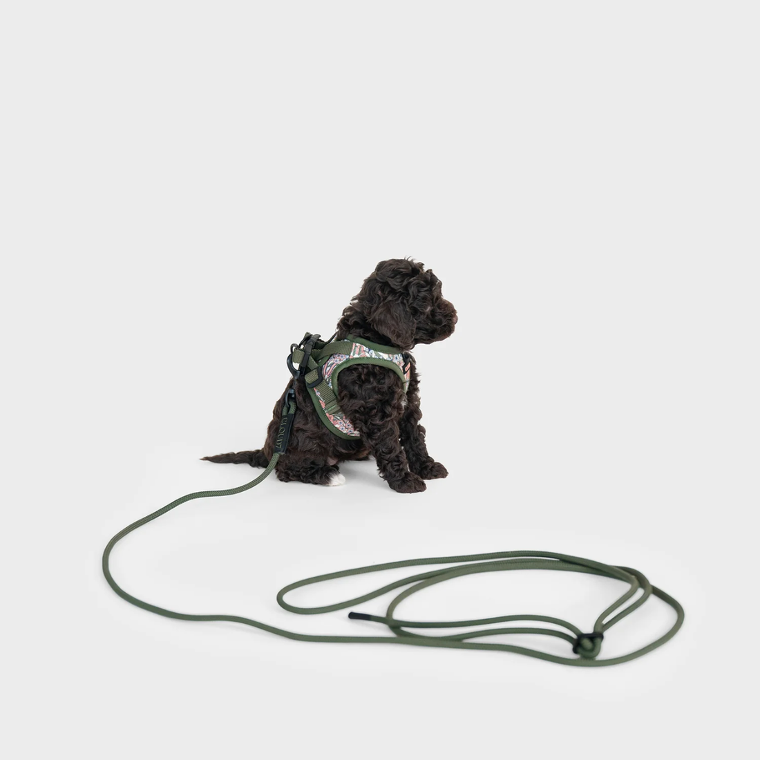 Cloud7 LTTL Blossoms // Step-in hundesele til hvalpe & små hunde