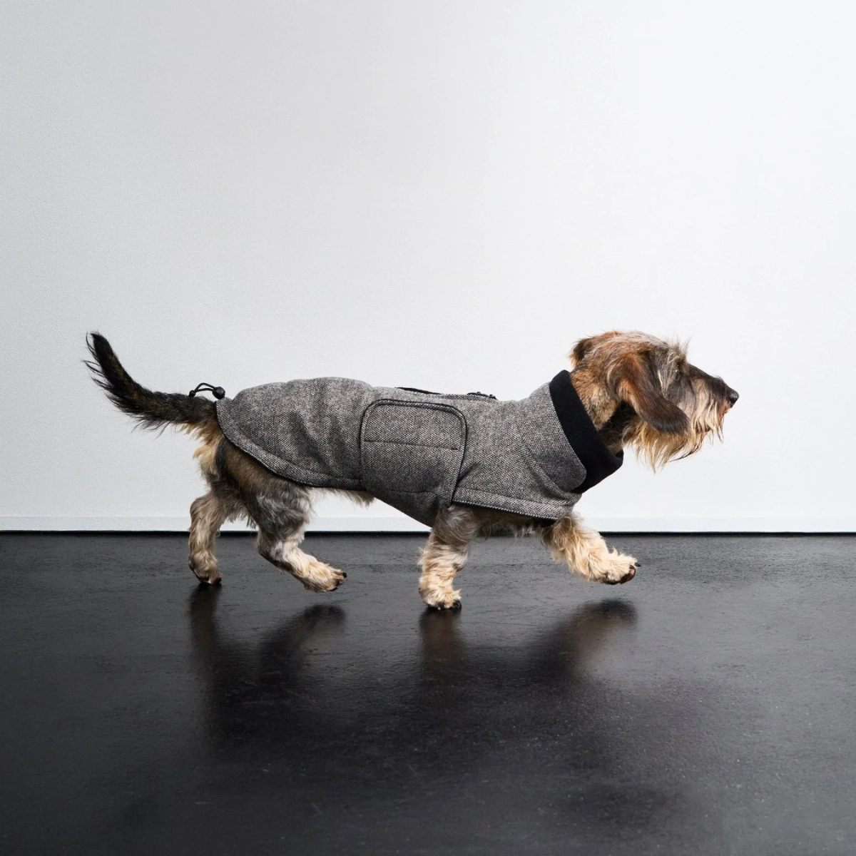 Cloud7 Brooklyn, Gravhund // Varm og vandtæt hundejakke (tweed black)