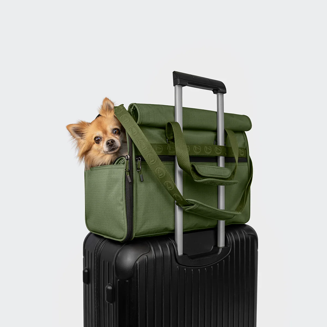Cloud7 AKTIV Flight Carrier // Praktisk transport -og flytaske til hunde (olive)