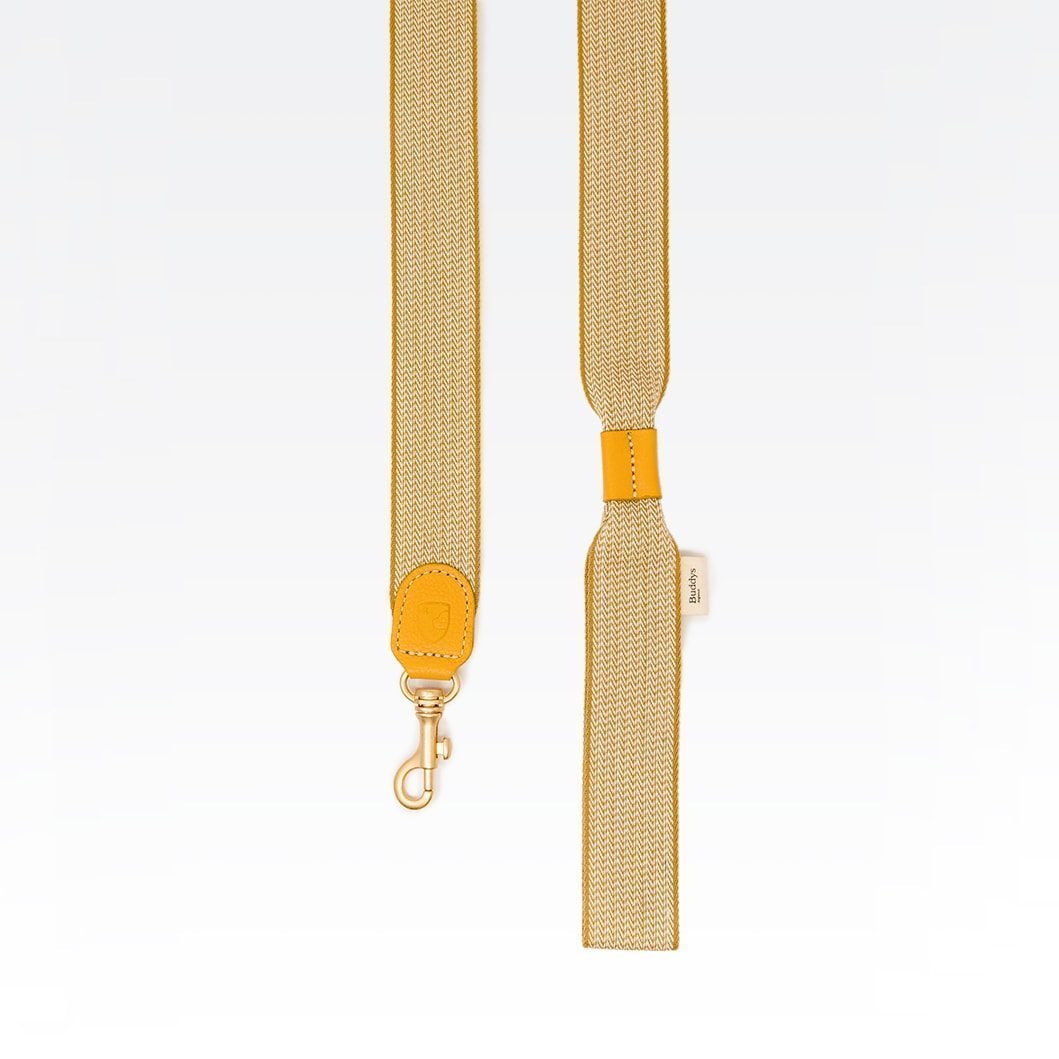 Buddys dogwear James Yellow // Bred og let line (gul)