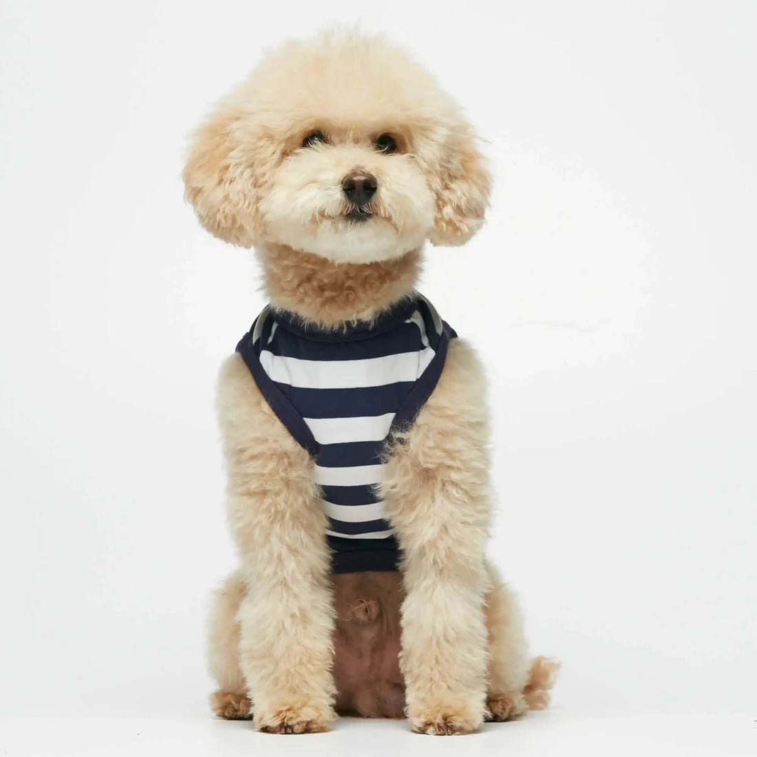 Ellsworth Bodysuit // Hundetrøje i økologisk bomuld (navy) M, L