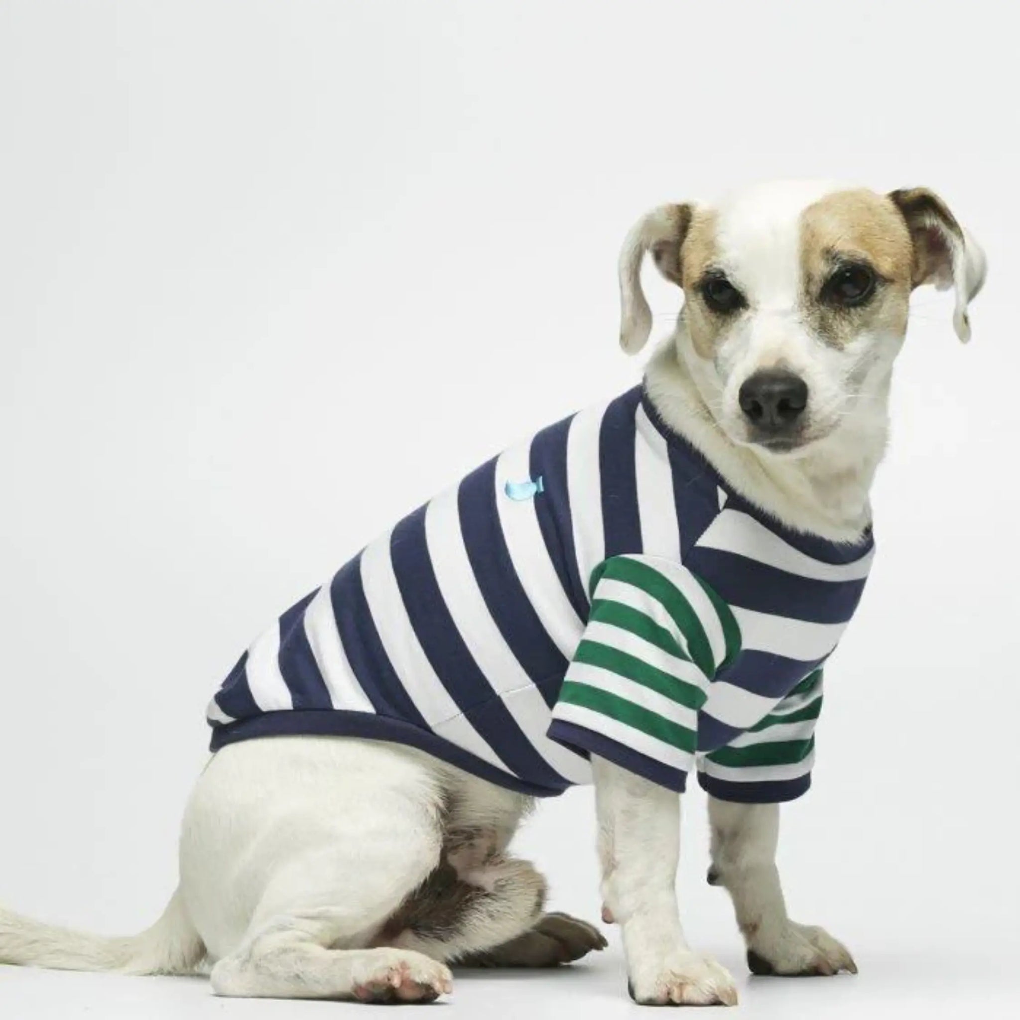 Ellsworth T-shirt // Dog shirt in organic cotton (navy/green)