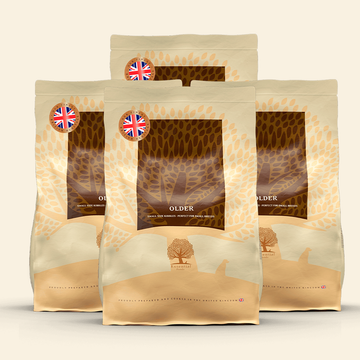 Essential Heritage, Older // Tørfoder til seniorhunde (4 x 2,5kg.)