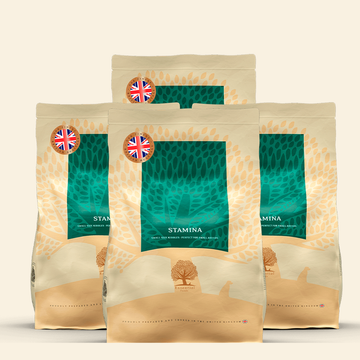 Essential Heritage, Stamina // Dry food for extra active dogs (4 x 2.5kg.)
