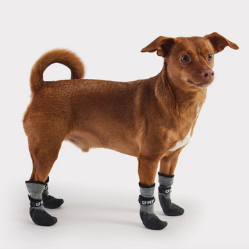 GF Pets® All-Terrain Dog Boots // Udendørs hundesko (4 stk.)