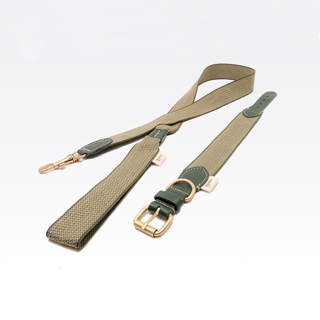 Buddys Dogwear James Green // Bred og let line (grøn)