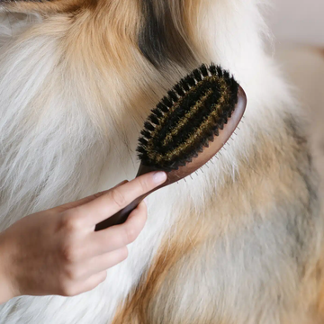 Lila Loves It Double Brush // 2-i-1 hundebørste til kort og lang pels