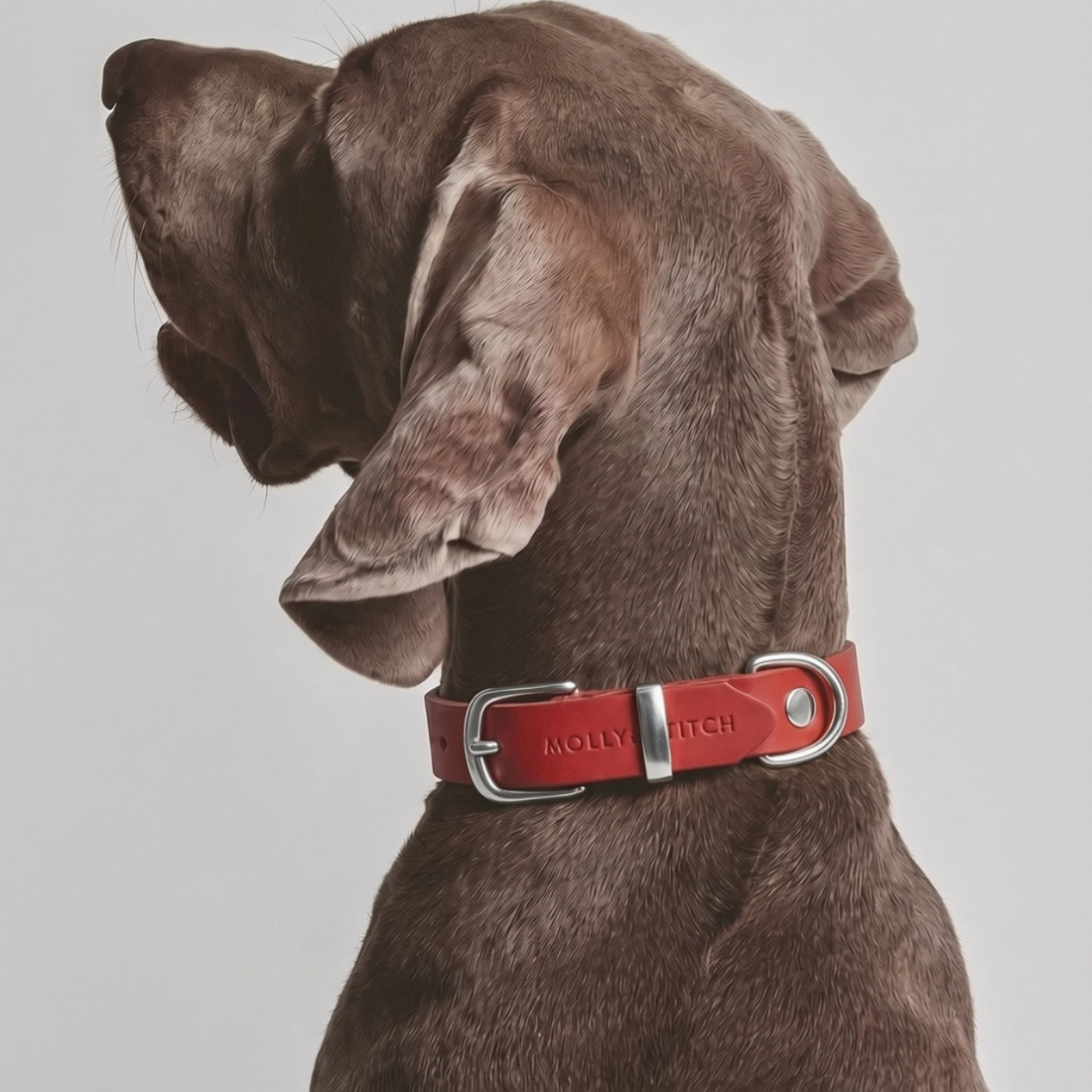 Butter Chili Red // Collar in soft leather (red)