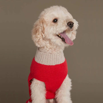 Mark R. Sweater // Hundesweater i merinould og cashmere (rød) XL