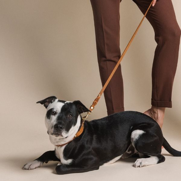 Butter Sahara City Leash  // Klassisk hundeline i blødt læder (cognac)