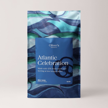 Signature Atlantic Celebration // Dry food rich in omega 3 from trout and herring