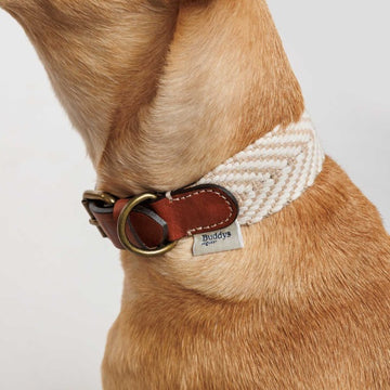 Buddys Dogwear Portixol Sand // Bredt og let halsbånd (beige)