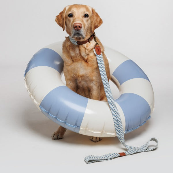 Buddys Dogwear Portixol Sea // Bred og let line (blå)