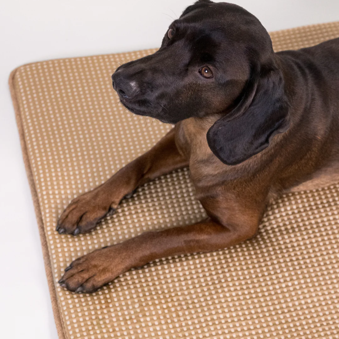Paikka Cooling Blanket // Køletæppe i selvkølende materiale (taupe)