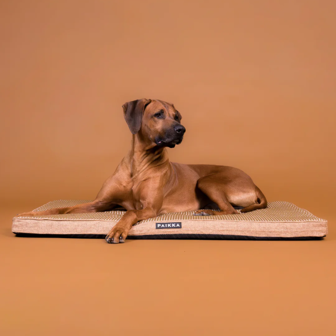Paikka Cooling Mattress // Kølende hundepude med memory foam (taupe)