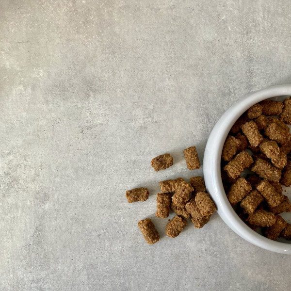 Rauh! Beef treat // Sprøde godbidder med okse