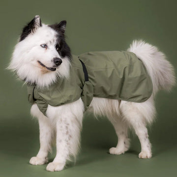 PAIKKA Reflective Shell raincoat // Reflekterende og vandtæt regnjakke (olive)