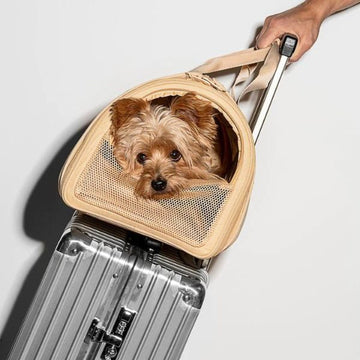 Wild One Air Carrier // Flytaske og rejseseng til hunde (beige)