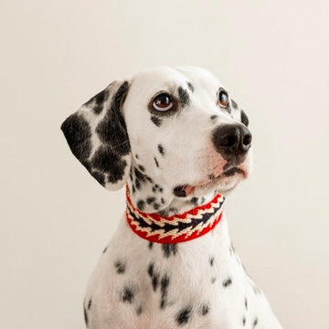 Buddys Dogwear Peruvian Arrow // Bredt og let halsbånd (rød)
