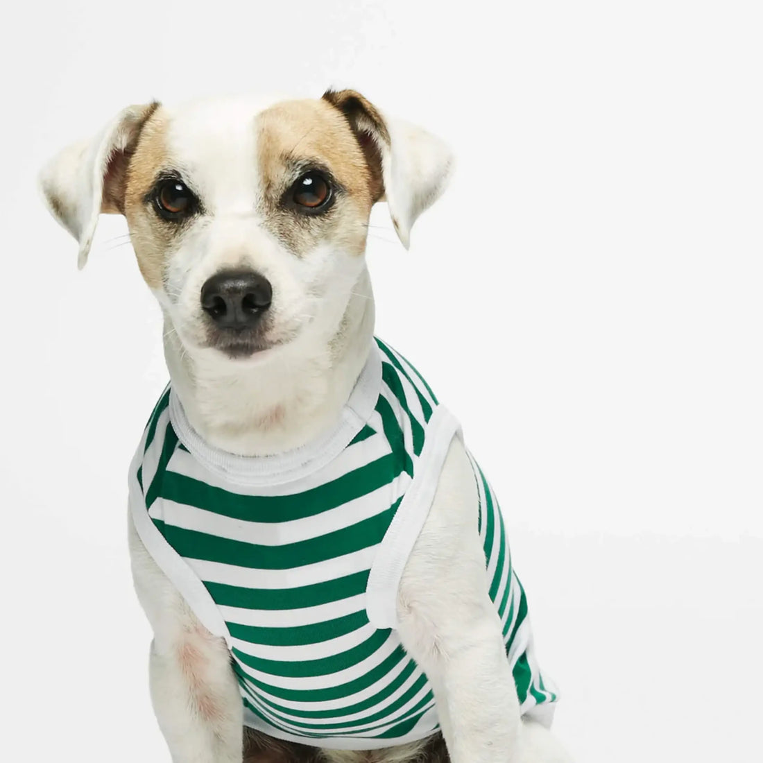 Daniel Bodysuit // Hundetrøje i økologisk bomuld (grøn)