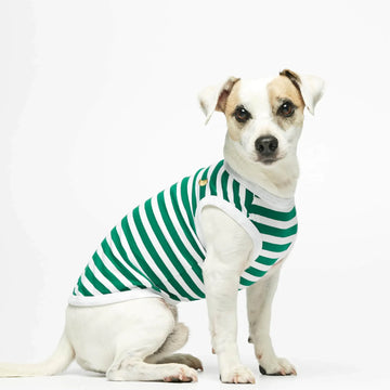 Daniel Bodysuit // Hundetrøje i økologisk bomuld (grøn)