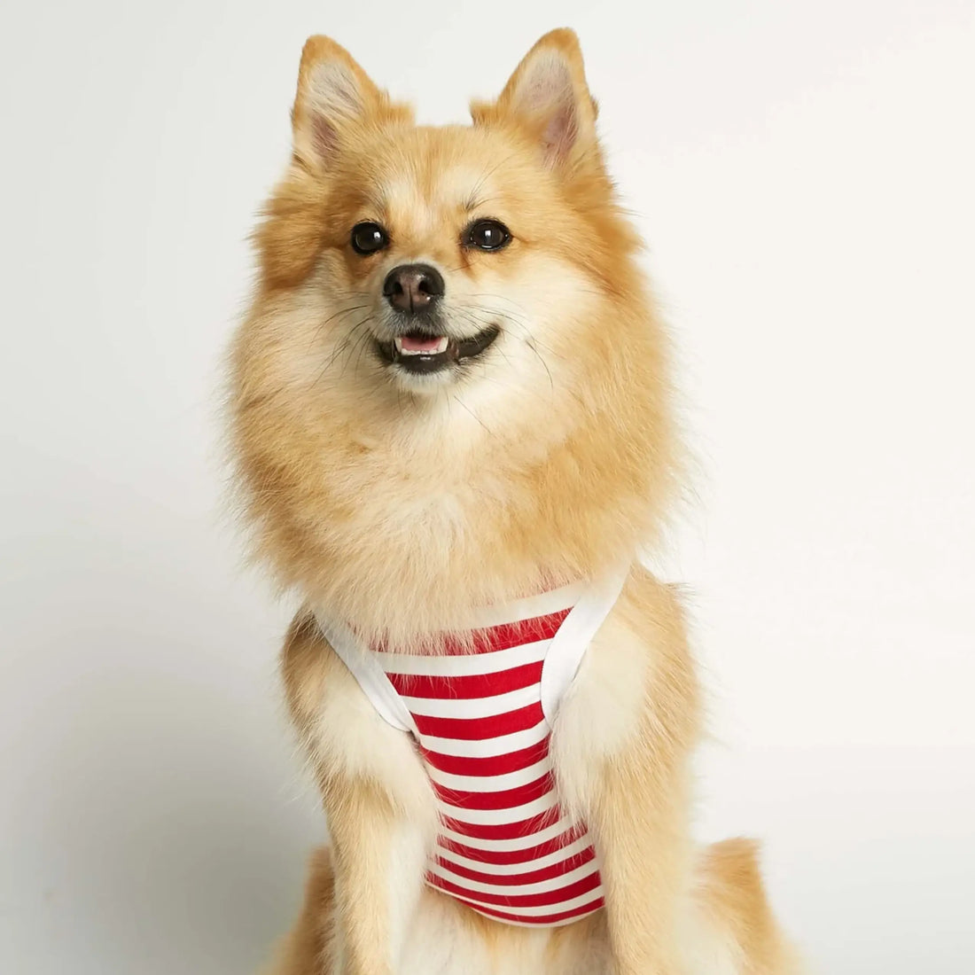 Daniel Bodysuit // Hundetrøje i økologisk bomuld (rød)